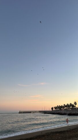 WhatsApp Image 2025-05-13 at 11.17.29